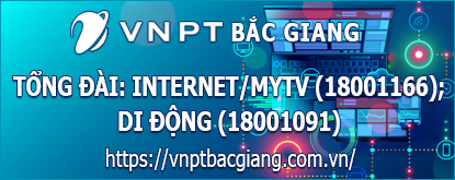 VNPT Bắc Giang, Vinaphone, Internet , Truyền hình Internet