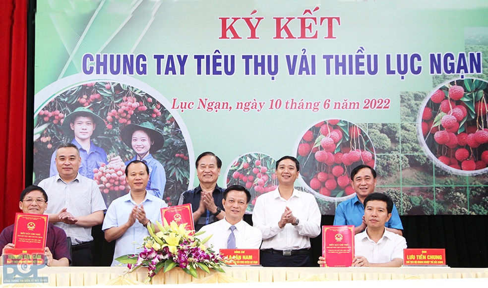Hiệp hội Dệt may Việt Nam, Hội Doanh nhân trẻ tỉnh Bắc Giang ký kết tiêu thụ vải thiều Lục Ngạn
