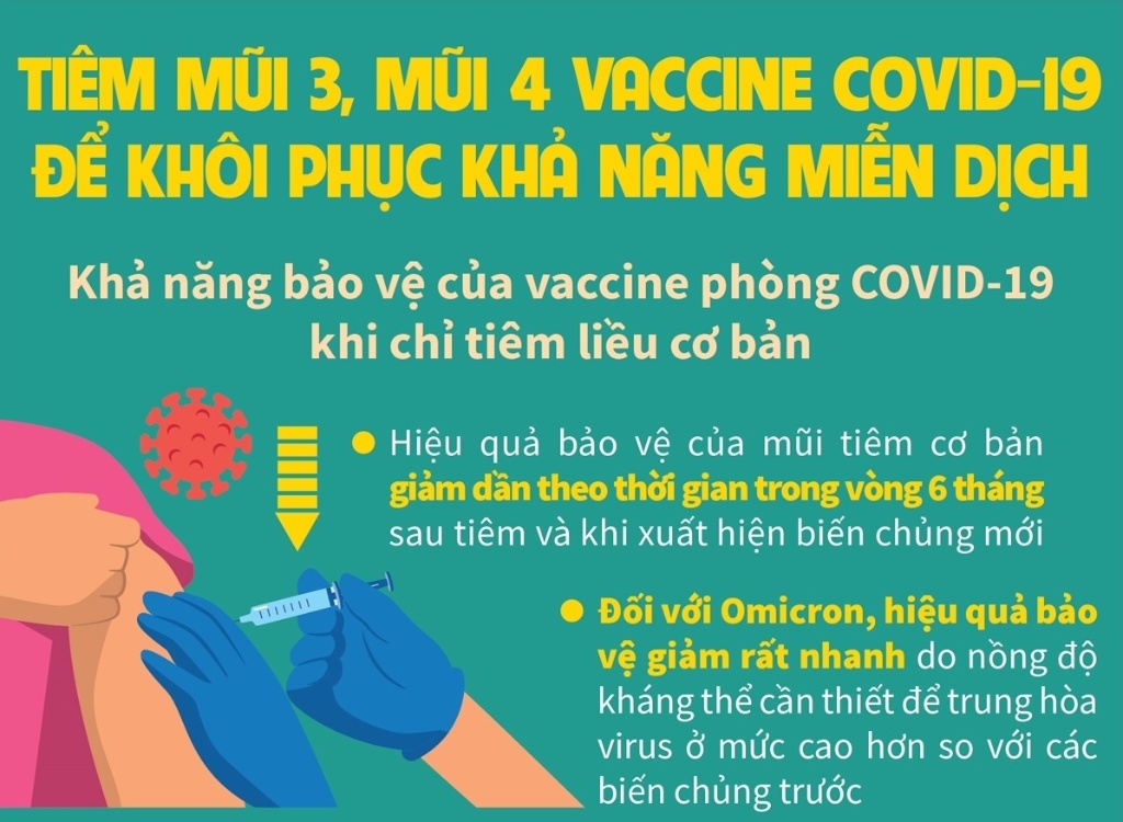 Infographics: Tiêm mũi 3, mũi 4 vaccine COVID-19 để khôi phục khả năng miễn dịch