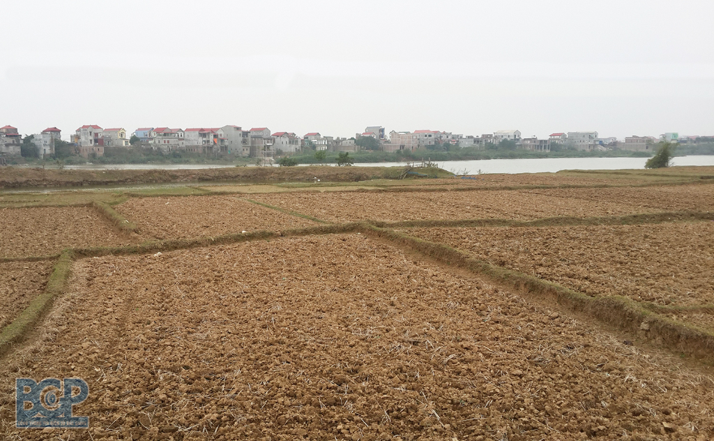 Điều chỉnh Quy hoạch sử dụng đất huyện Việt Yên đến năm 2030
