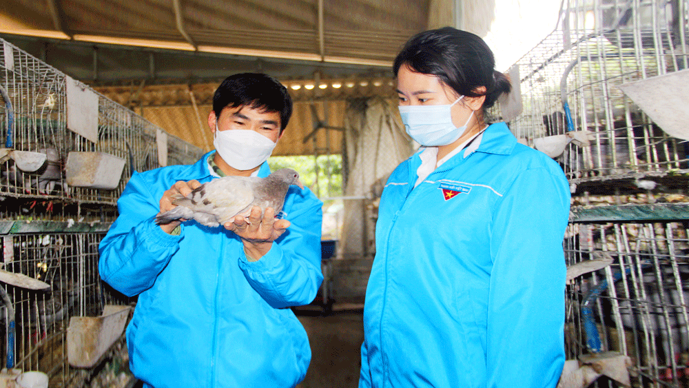 Triển khai Chương trình “Hỗ trợ Thanh niên Bắc Giang khởi nghiệp giai đoạn 2023 - 2030”