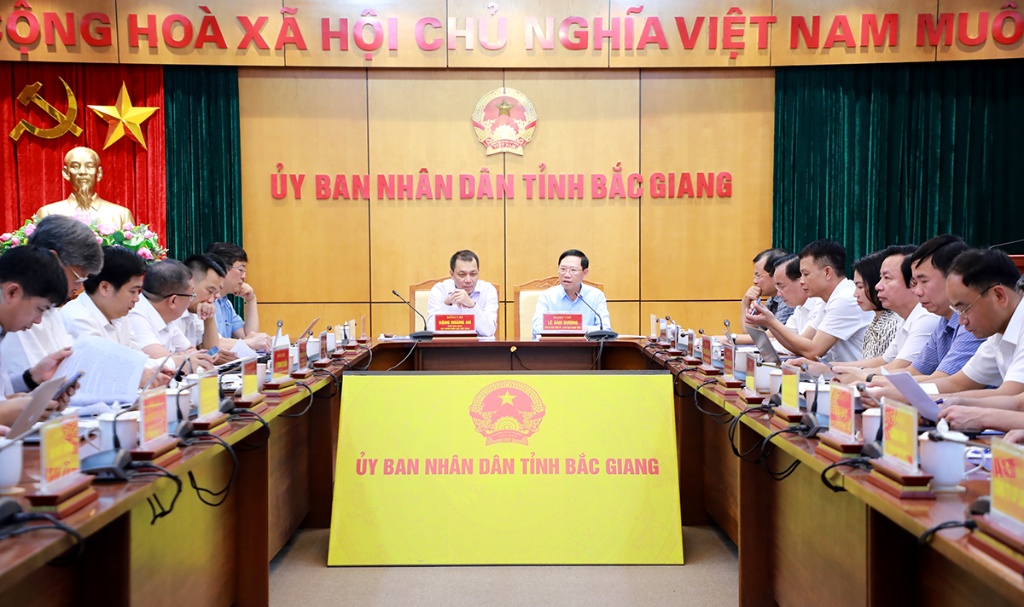 Tập đoàn Điện lực Việt Nam làm việc với tỉnh Bắc Giang