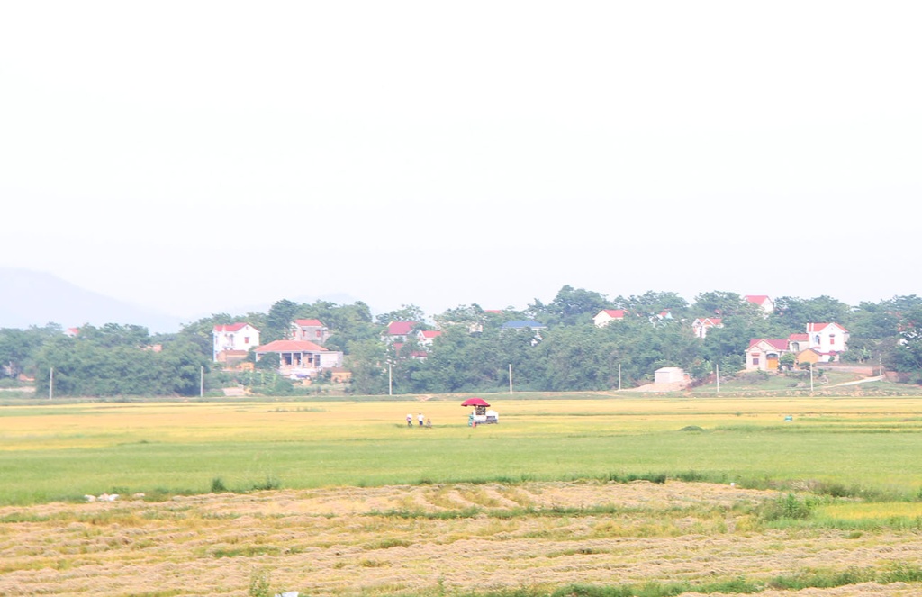 Việt Yên: Nâng cao chất lượng các tiêu chí nông thôn mới theo hướng nâng cao, kiểu mẫu