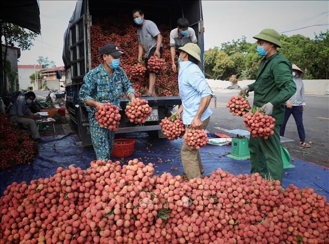 Bắc Giang đẩy mạnh quảng bá các nông sản chủ lực