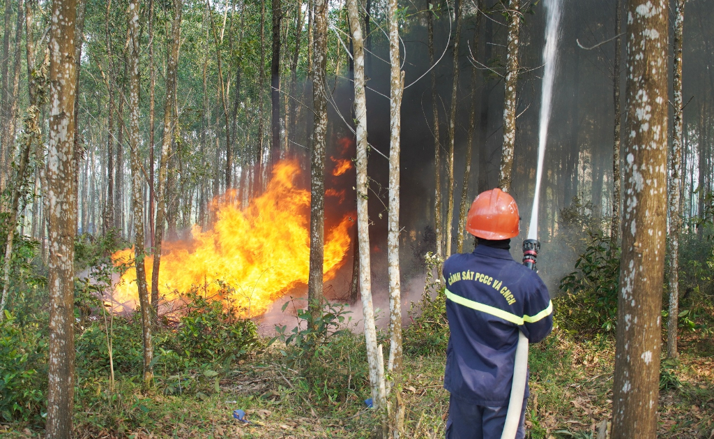 Bắc Giang tăng cường các biện pháp cấp bách phòng cháy, chữa cháy rừng