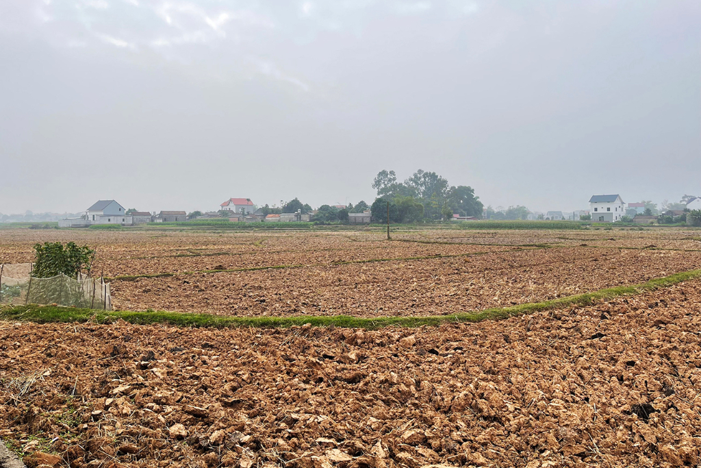Phê duyệt điều chỉnh, bổ sung Kế hoạch sử dụng đất huyện Việt Yên năm 2023