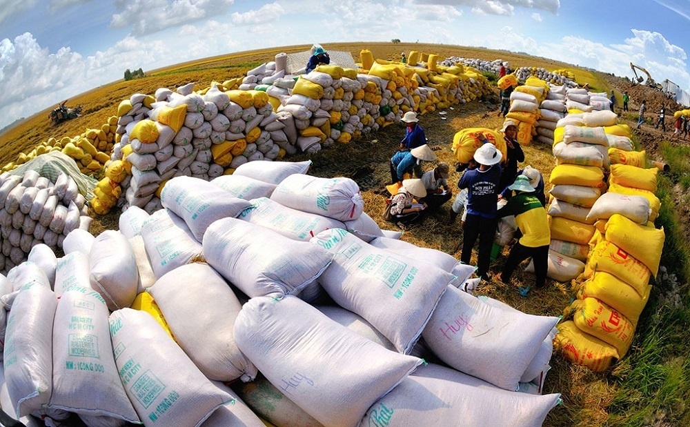Thị trường xuất khẩu gạo năm 2024 có nhiều triển vọng