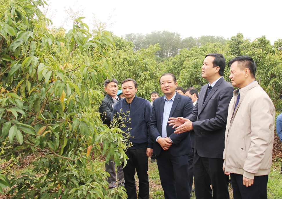 Phó Chủ tịch UBND tỉnh Lê Ô Pích kiểm tra tình hình sản xuất nông nghiệp và công tác quy hoạch huyện Lục Ngạn