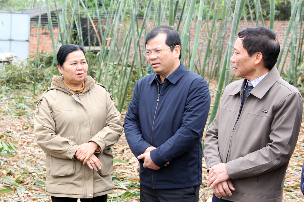 Phó Chủ tịch UBND tỉnh Phan Thế Tuấn thăm và làm việc hai hợp tác xã huyện Tân Yên