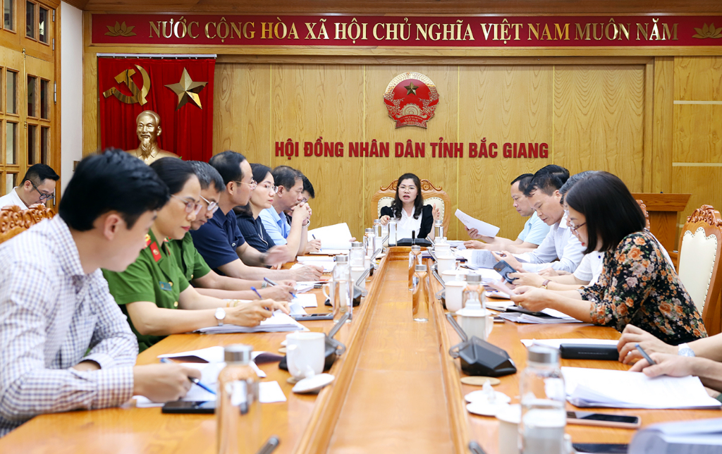 Đảng đoàn HĐND tỉnh Bắc Giang thẩm tra, thẩm định một số nội dung dự kiến trình tại kỳ họp thứ 16