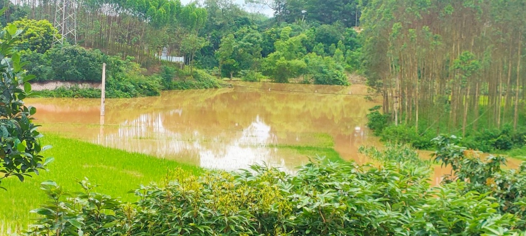 Mưa lớn gây ngập úng ở nhiều nơi trên xã Đồng Lạc|https://donglac.yenthe.bacgiang.gov.vn/chi-tiet-tin-tuc/-/asset_publisher/M0UUAFstbTMq/content/mua-lon-gay-ngap-ung-o-nhieu-noi-tren-xa-ong-lac