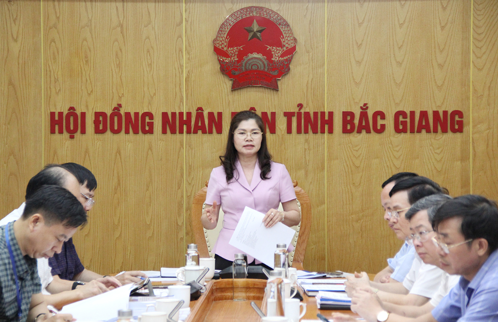Đảng đoàn HĐND tỉnh Bắc Giang thẩm định một số dự thảo Nghị quyết