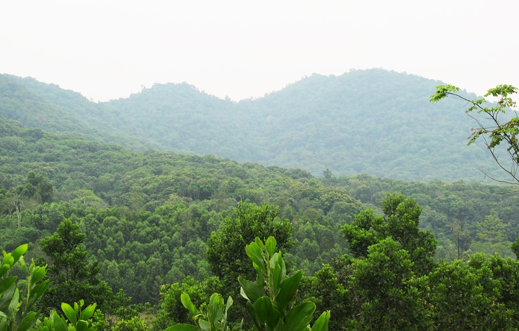 Bắc Giang chi trả gần 3,4 tỷ đồng tiền dịch vụ môi trường rừng