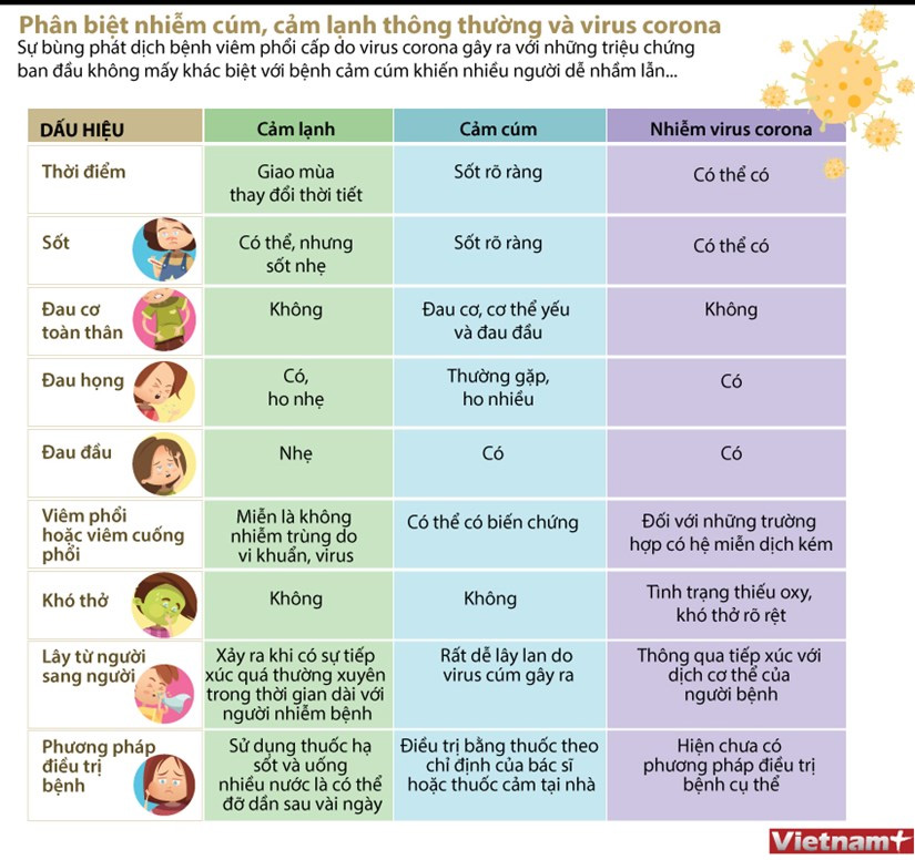 [Infographics] Phân biệt giữa nhiễm virus corona và cảm cúm, cảm lạnh