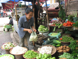 Bắc Giang phát triển nghề trồng nấm tại 5 huyện trong tỉnh.