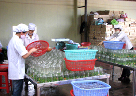 Công ty cổ phần Thực phẩm xuất khẩu Bắc Giang ký hợp đồng xuất khẩu 500 tấn gấc đông lạnh sang thị trường Mỹ.