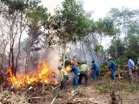 Bắc Giang triển khai công tác phòng cháy, chữa cháy rừng mùa khô 2014-2015