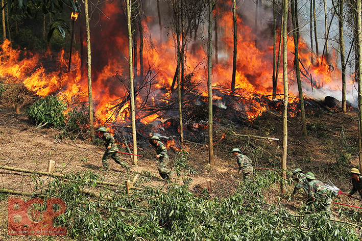 Diễn tập phòng cháy, chữa cháy rừng huyện Lục Ngạn năm 2016