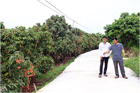 Bắc Giang chọn hướng đi đúng, khơi dậy sức dân trong xây dựng thôn nông thôn mới