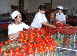 Bắc Giang: 6 tháng đầu năm,giá trị sản xuất tại các khu công nghiệp tăng 2,2 lần so cùng kỳ.    