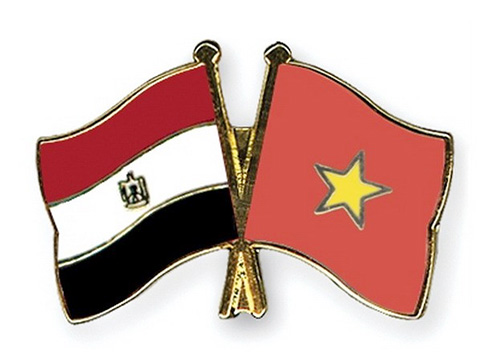 Việt Nam và Ai Cập họp tham vấn chính trị lần thứ 8 tại Cairo 