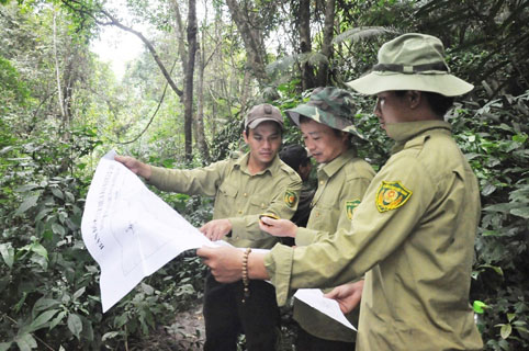Bắc Giang: Tiếp tục triển khai thực hiện dự án tổng điều tra, kiểm kê rừng toàn quốc giai đoạn 2013-2016