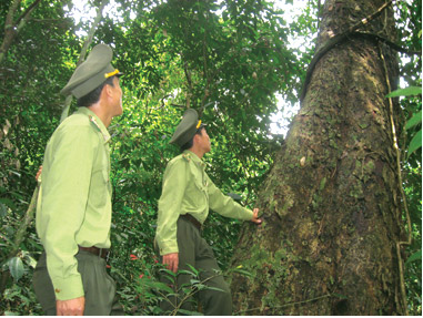 Phê duyệt Quy hoạch hệ thống rừng đặc dụng cả nước đến năm 2020