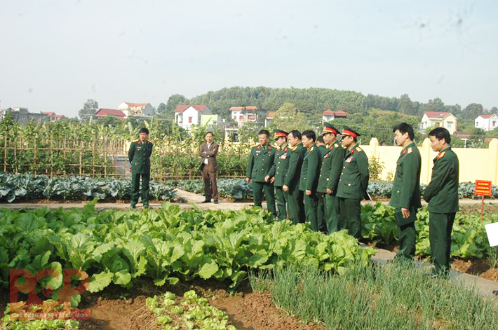 Ban CHQS huyện Lục Nam: Đơn vị xuất sắc trong Xây dựng và quản lý doanh trại 