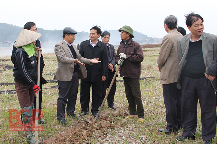 Phó Chủ tịch UBND tỉnh Dương Văn Thái kiểm tra sản xuất đầu năm