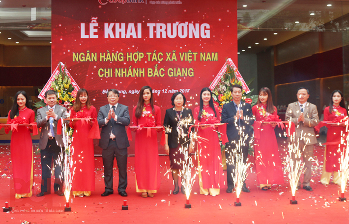 Ngân hàng Hợp tác xã Việt Nam chi nhánh Bắc Giang 