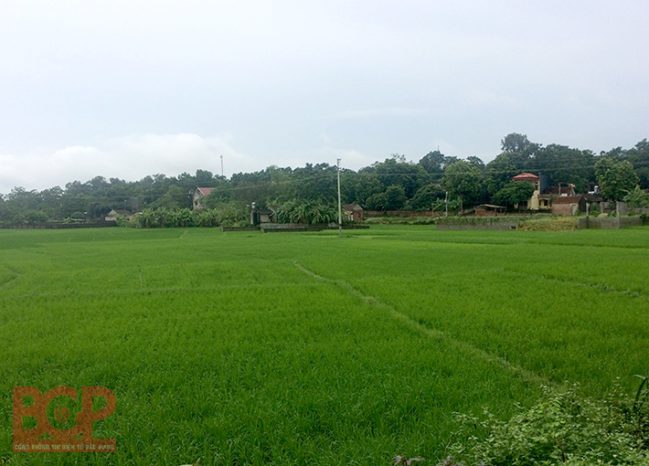Bắc Giang: Điều chỉnh quy hoạch sử dụng đất huyện Hiệp Hòa