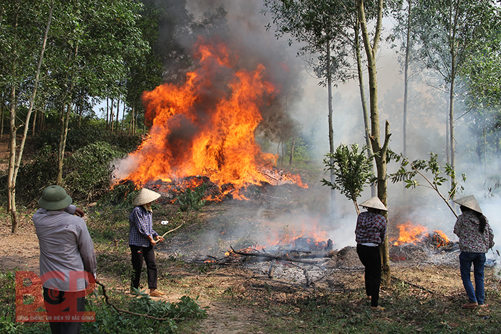 Kiểm tra công tác phòng cháy, chữa cháy rừng mùa khô năm 2017-2018