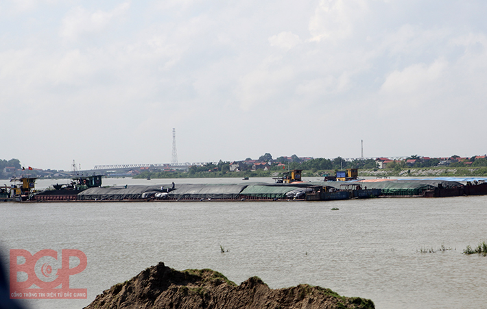 Bắc Giang: Cảng Trí Yên vào Quy hoạch hệ thống cảng đường thủy nội địa phía Bắc