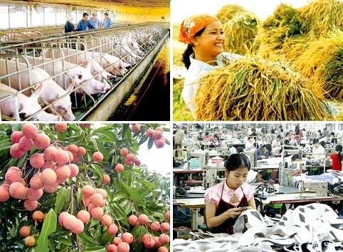 10 thành tựu kinh tế - xã hội nổi bật tỉnh Bắc Giang năm 2014